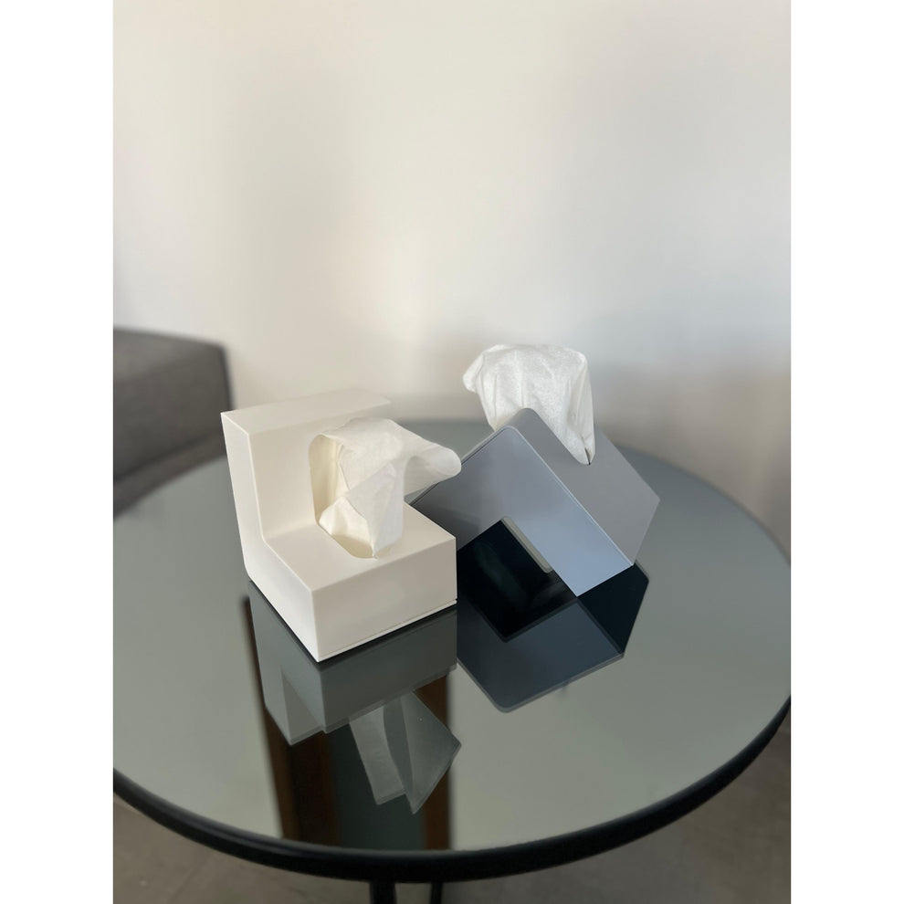 Modern Plastic Tissue box