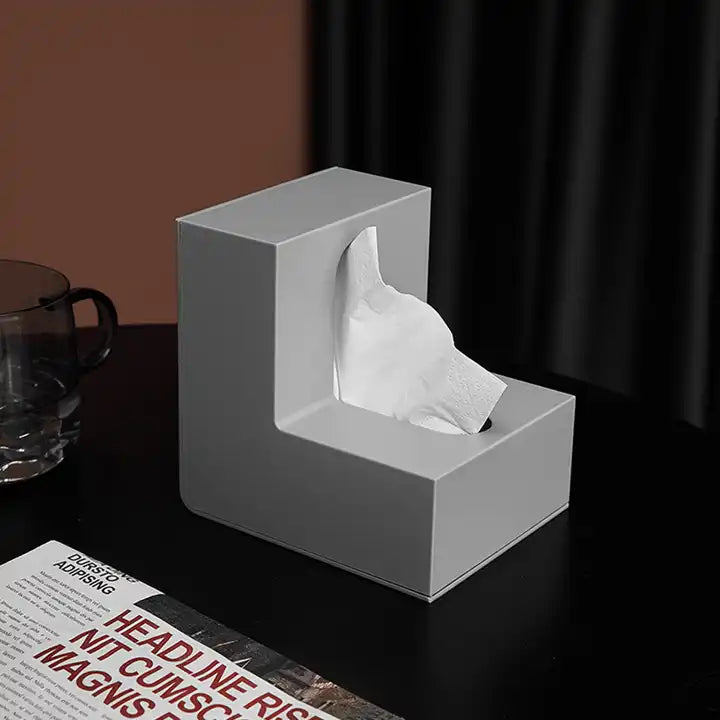 Modern Plastic Tissue box